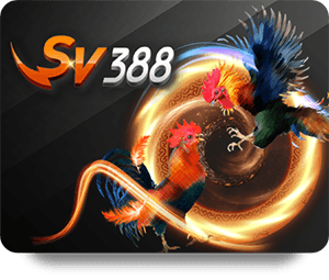 How to Maximize Bonuses at THA BET Casino Royal